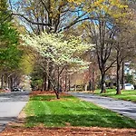 Stylish 1Br In Myers Park
